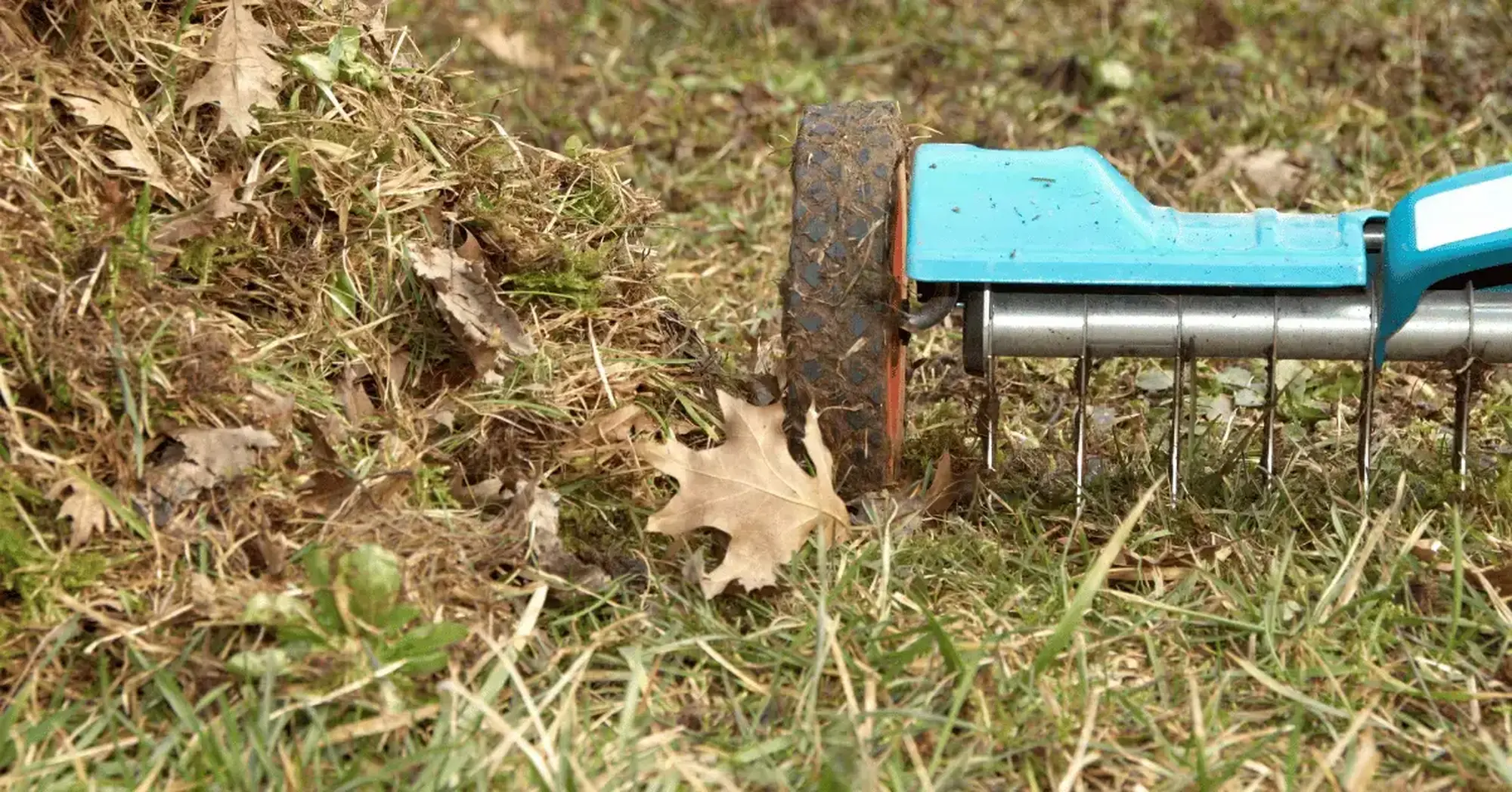 Tuin winterklaar maken 7 klusjes ter voorbereiding op de koude maanden featured