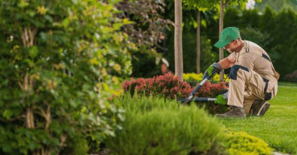 Keurmerk Blog afbeeldingen 1