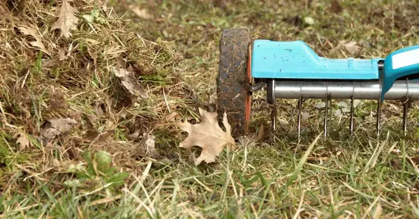 Tuin winterklaar maken 7 klusjes ter voorbereiding op de koude maanden featured
